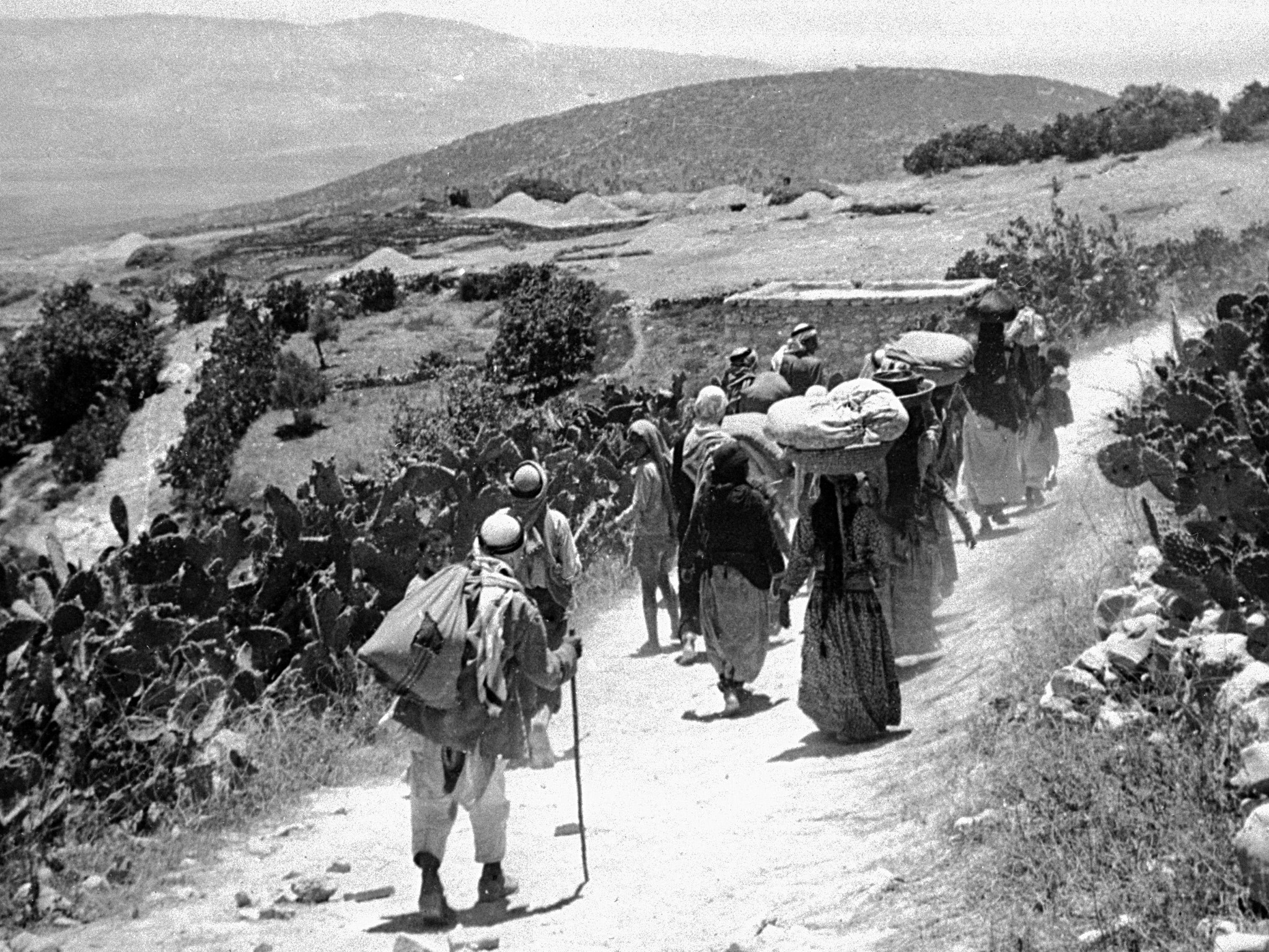 في اليوم العالمي للاجئين.. هيئة تطالب العالم بإنهاء قضية اللجوء الفلسطيني