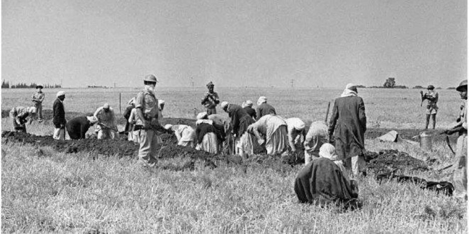 وثائق رسمية.. الاحتلال سمَّم آبار المياه الفلسطينية عام 1948