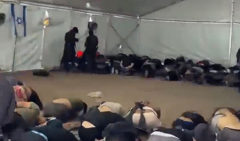 قوات الاحتلال تنكّل بناشطي أسطول الصمود العالمي في أسدود بحضور "بن غفير"