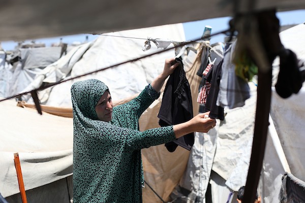 المجلس النرويجي للاجئين: ترك مليون نازح في غزة يواجهون لهيب الصيف بلا مأوى فضيحة دولية