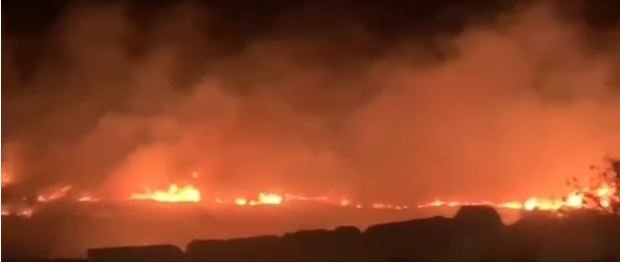 المستوطنون يصعّدون عدوانهم بالضفة الغربية: إحراق أراضٍ ومركبات ومحاولة إحراق مسجد